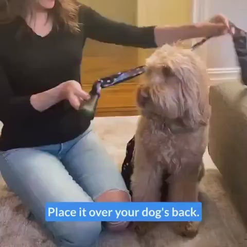 Waterproof Dog Boot Leggings product video