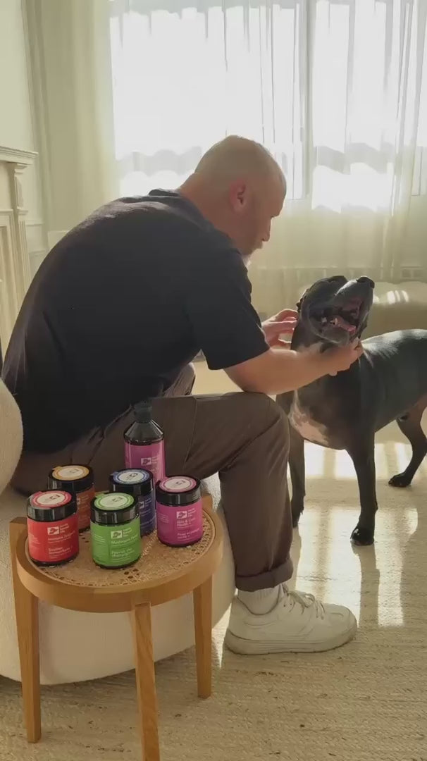 Five-Mushroom Dog Food Topper for Daily Bowl Enrichment and General Wellness, Available in 40 g or 90 g product demonstration video