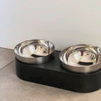Elevated Stainless Steel Cat Bowl, Tilted Whisker-Friendly Feeder in Single or Double Setup product demonstration video