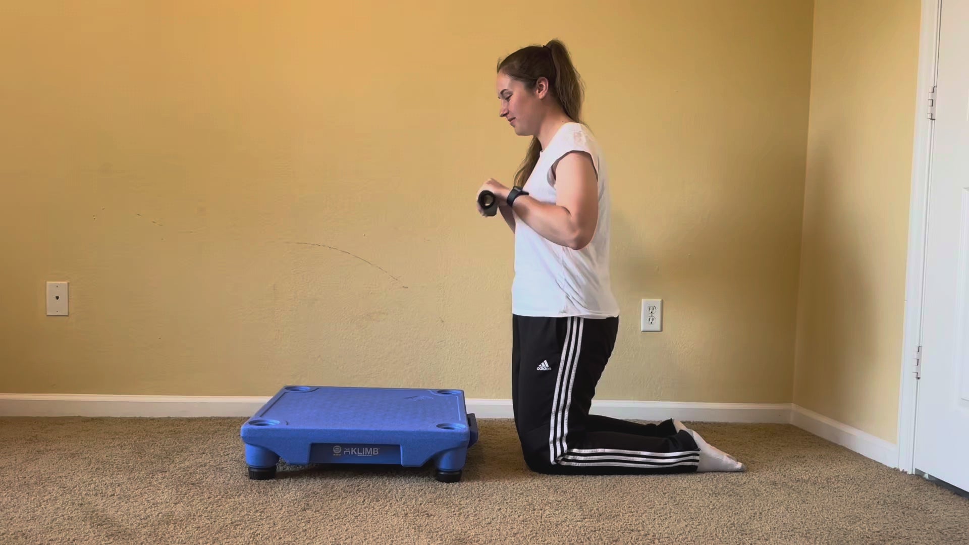 Non-Slip Dog Training Platform Mat, Custom-Fit 24 x 24 Inch Rubber Surface for Confident Exercise Sessions source demonstration video