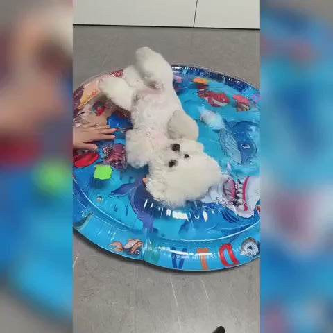 Water-Filled Dog Cooling Bed for Indoor Summer Rest, Regular and Large Sizes with Four Surface Styles product demonstration video