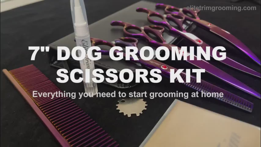 7-Inch Dog Grooming Shears Kit, Standard or Advanced Stainless Steel Sets in Five Color Finishes product demonstration video