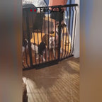 Extra-Tall Dog Gate product video