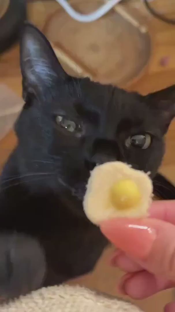 Freeze-Dried Egg Pet Treats, 50 g Chicken and Goat Milk Bites Featuring Added Colostrum Powder product demonstration video