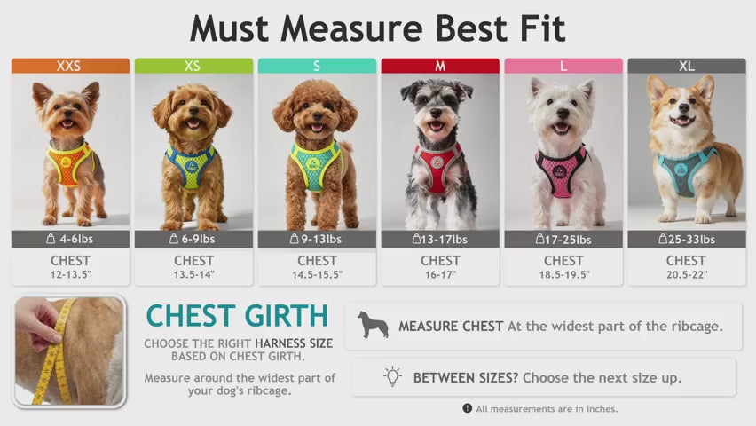 Reflective Air Mesh No-Choke Dog Harness product video