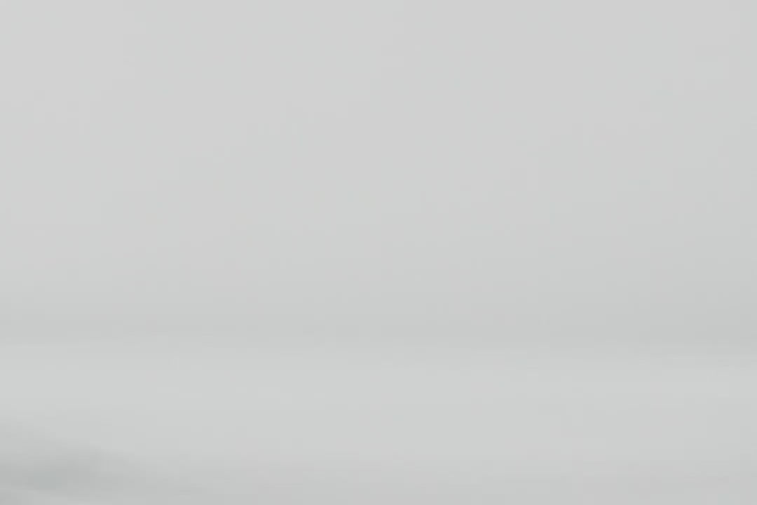 Porto Cat Carrier product video