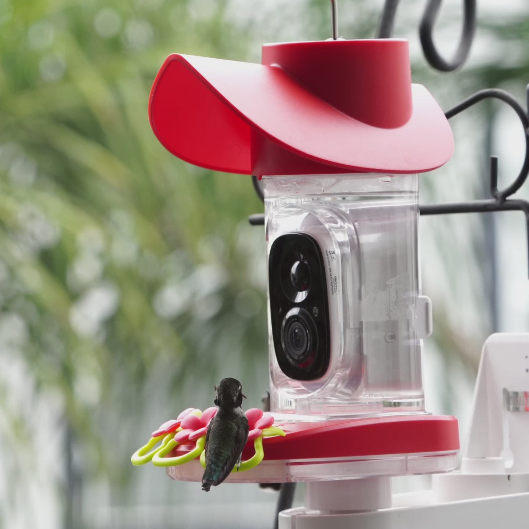 Smart Solar Hummingbird Feeder Camera, 2K Video Monitoring, Leak-Resistant Seal and Instant Visit Alerts source demonstration video