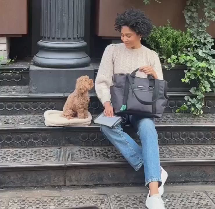 Transit Tote Dog Carrier product video