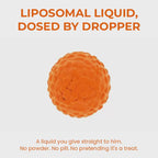Daily Liquid Dog Wellness Protocol in One, Three or Six Bottle Packs for Measured Routine Use product demonstration video