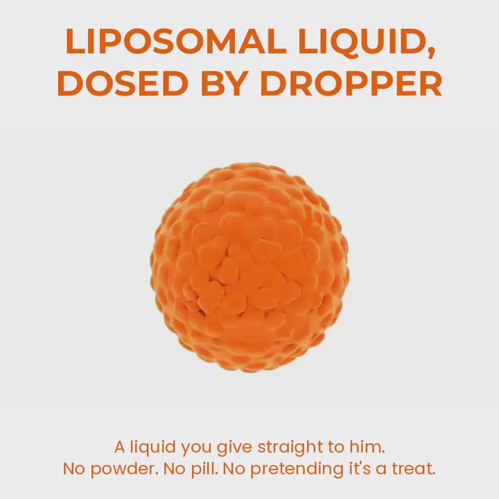 Daily Liquid Dog Wellness Protocol in One, Three or Six Bottle Packs for Measured Routine Use product demonstration video
