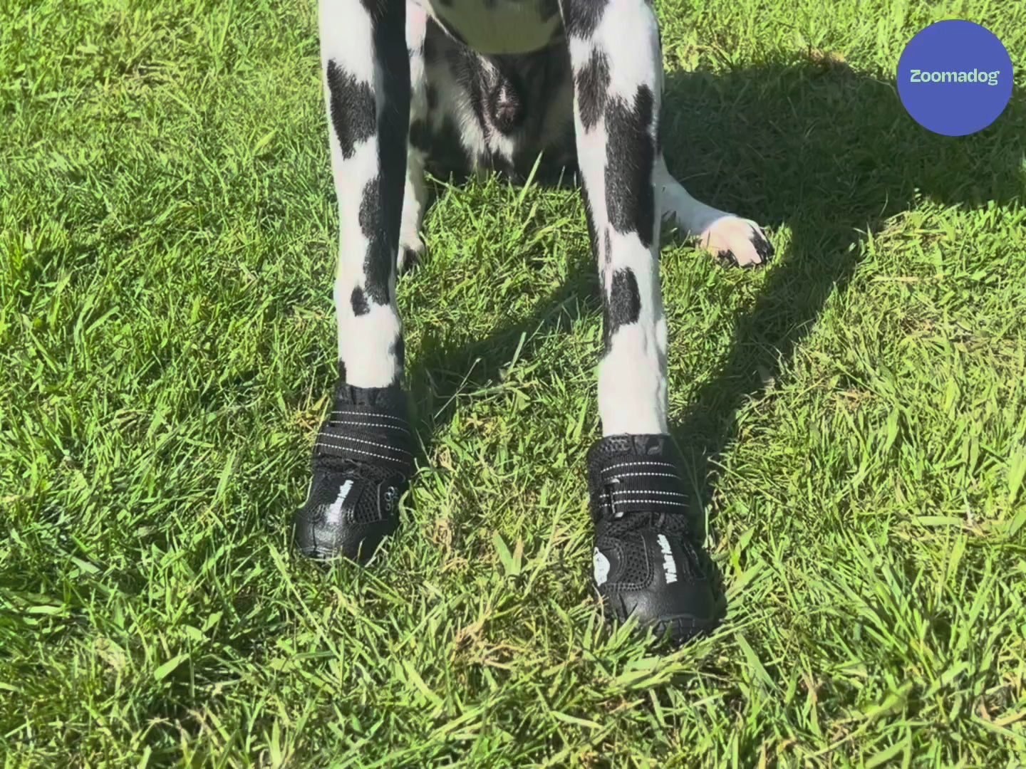 Non-Slip Dog Walking Boots, Two-Piece Paw Protection Pair with Reflective Strips and Secure Velcro Fit source demonstration video