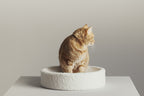 Nest-Shaped Cat Bed with Sculpted Foam Core and Faux Shearling Cover in Small, Wide or Two-Bed Set source demonstration video