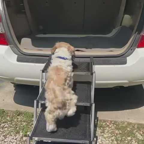 Folding Dog Stairs for SUVs, Beds and Sofas, Lightweight Aluminum Frame Rated to 230 Pounds source demonstration video