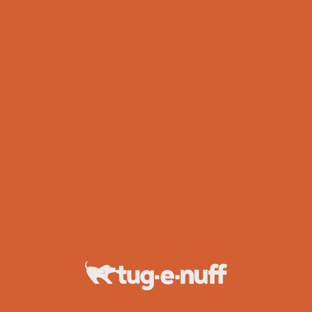 Waterproof Floating Dog Bumper Toy for Fetch, Tug and Water Play in Three Bright Colorways product demonstration video