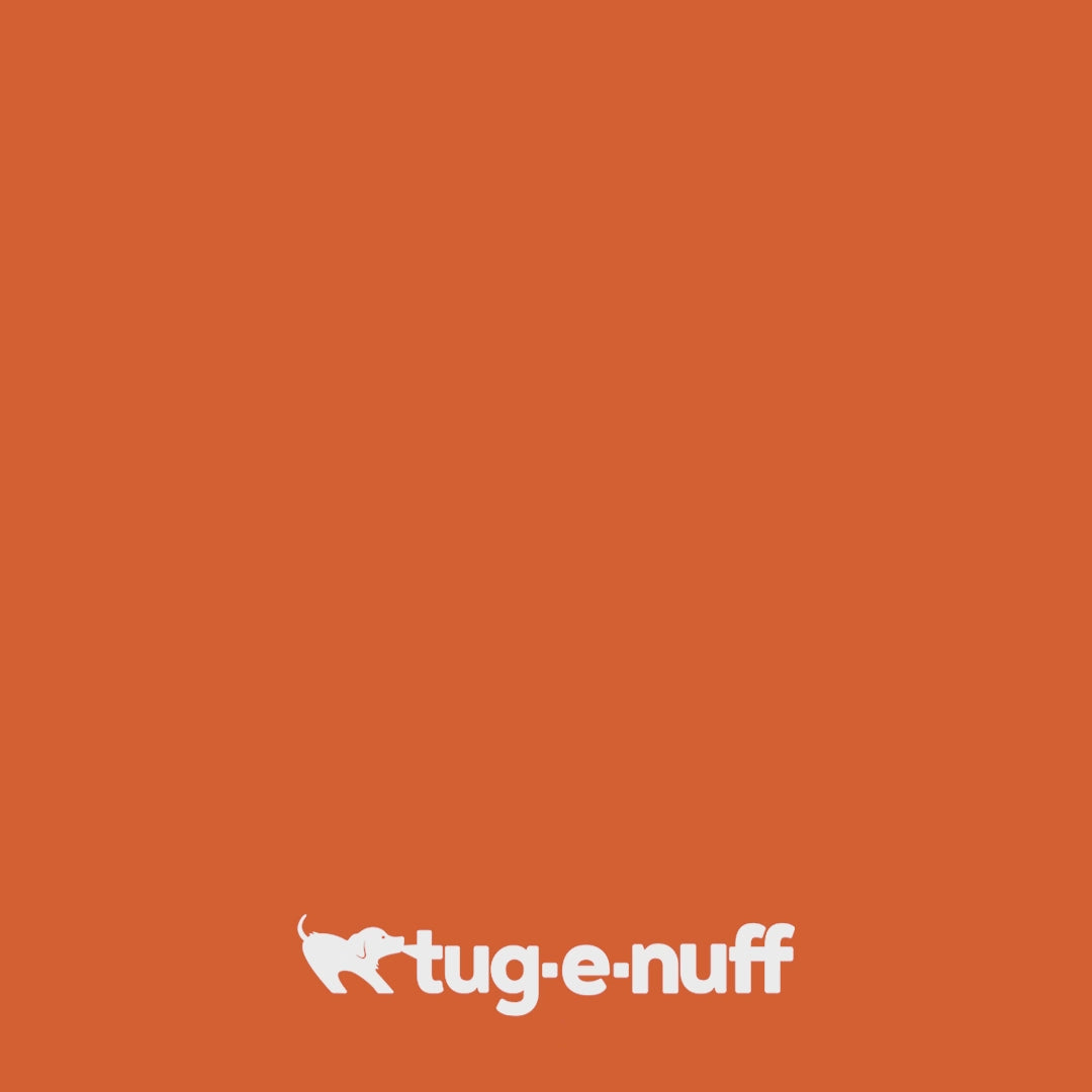 Waterproof Floating Dog Bumper Toy for Fetch, Tug and Water Play in Three Bright Colorways product demonstration video