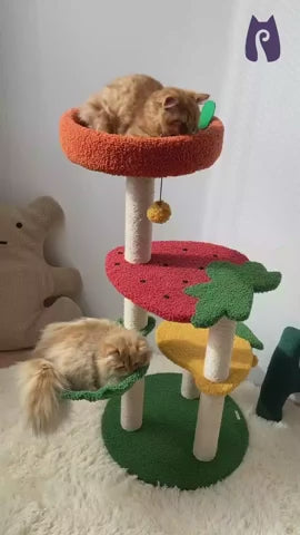 Fruit-Themed Cat Tree, 40.6 or 48.4 Inch Indoor Climbing Tower with Sisal Scratching Posts product demonstration video