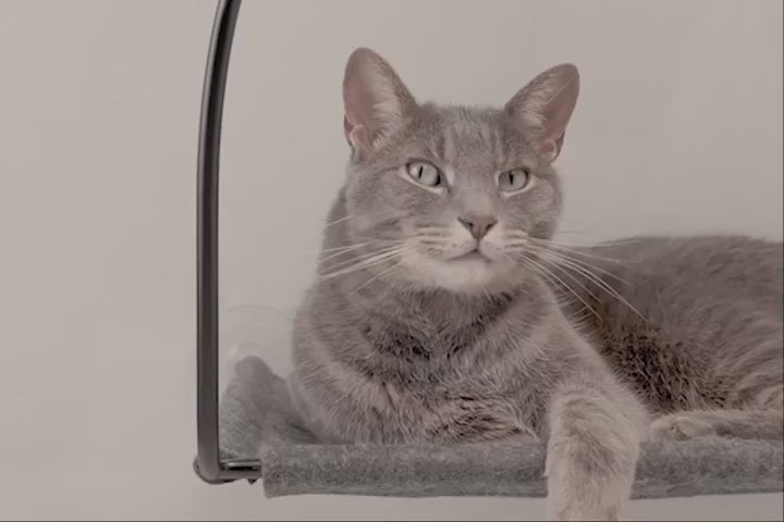 Cloud Nine Window Hammock product video