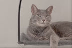 Cloud Nine Window Hammock product video