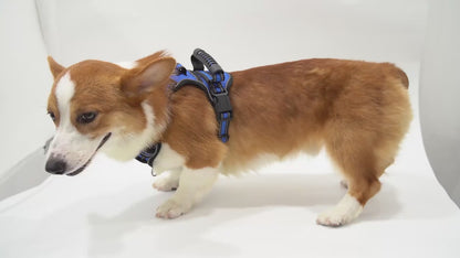 Dog Harness and Leash Set No-Pull Reflective Adjustable Oxford Vest with 2 Leash Clips Easy Control Handle for Small Medium Large Dogs XS-XL 5 Colors