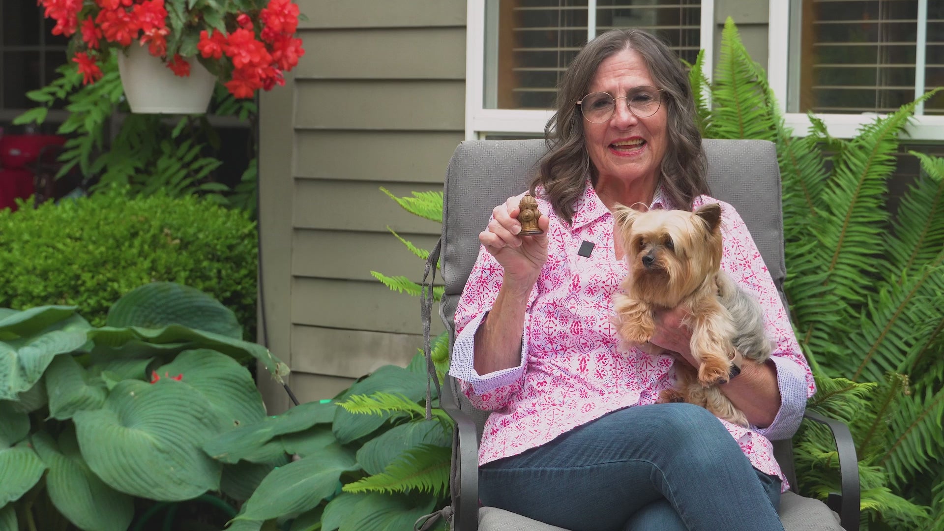 Dental Brush Chews for Dogs, Ridged Limited-Ingredient Treats in Small or Large Packs for Daily Oral Care source demonstration video
