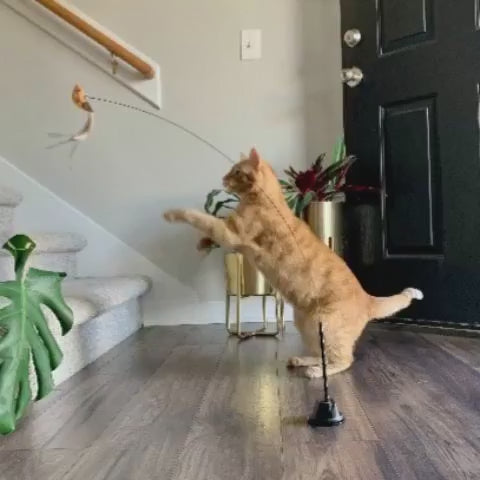 Interactive Bird Simulation Cat Toy product video