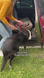 Hip and Joint Supplement Powder for Dogs, Green-Lipped Mussel and Eggshell Membrane Blend in Two Sizes product demonstration video