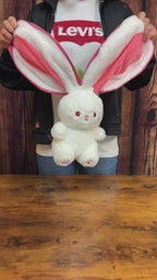 Reversible Bunny Plush Toy product video