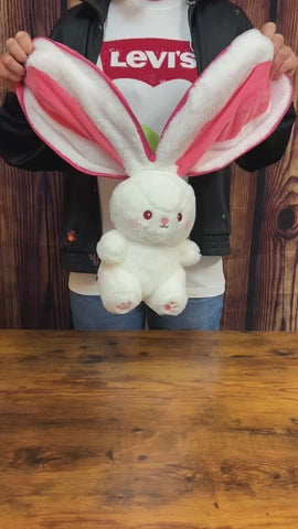 Reversible Bunny Plush Toy product video