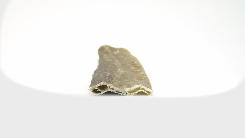 Air-Dried Cod Fish Skin Dog Chews product video