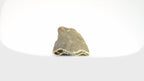 Air-Dried Cod Fish Skin Dog Chews product video