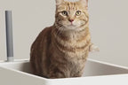 Cove Litter Box product video