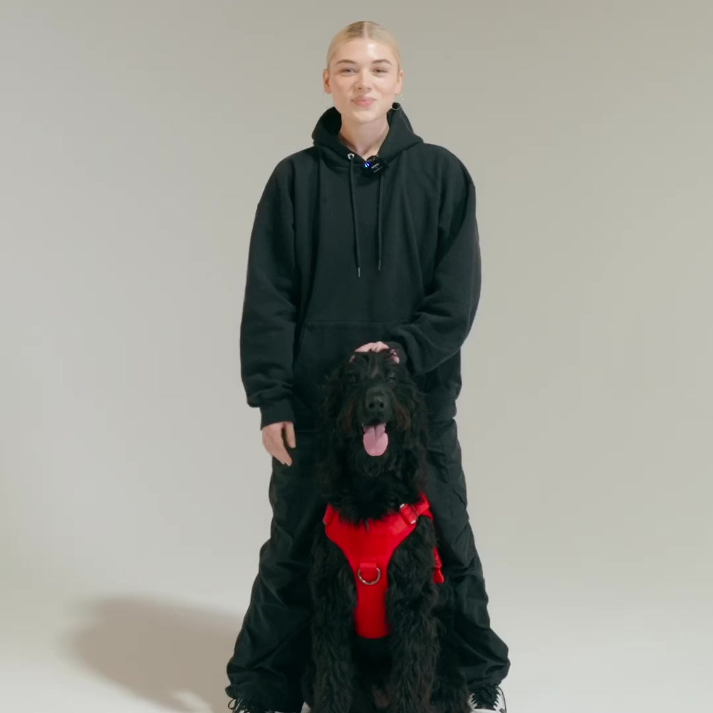 Tactical Dog Vest Harness product video
