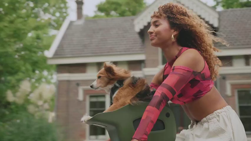 Dog Bike Carrier Seat for Standard Bicycles and E-Bikes in Two Colors with Small or Medium Harness product demonstration video