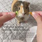 Guinea Pig Treat Sampler with Six Natural Flavors for Discovering Favorite Small-Pet Snacks product demonstration video