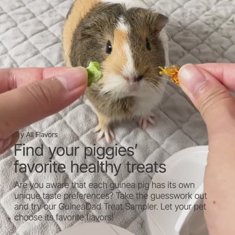 Guinea Pig Treat Sampler with Six Natural Flavors for Discovering Favorite Small-Pet Snacks product demonstration video