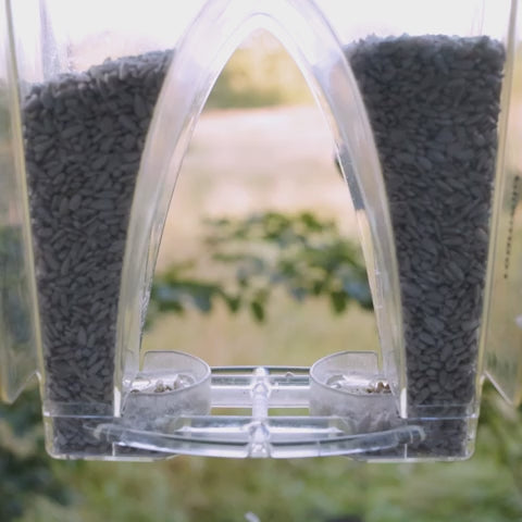 Arch Window Bird Feeder for Close-Up Songbird Watching with Dual Suction Mounts and 2.1-Quart Capacity product demonstration video
