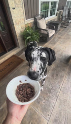 Freeze-Dried Beef Dog Food, 68% Beef Recipe with Ground Bone and Green Tripe in Five Bag Sizes source demonstration video