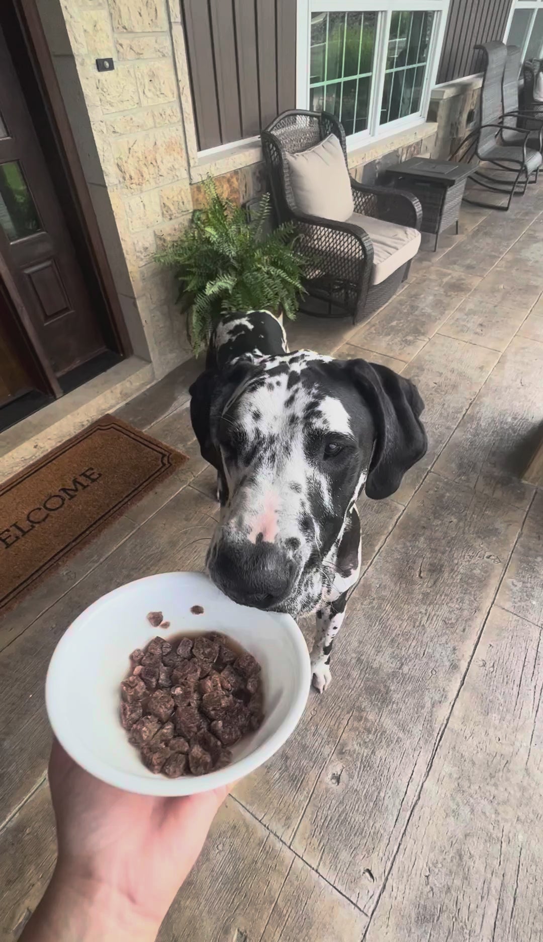 Freeze-Dried Beef Dog Food, 68% Beef Recipe with Ground Bone and Green Tripe in Five Bag Sizes source demonstration video