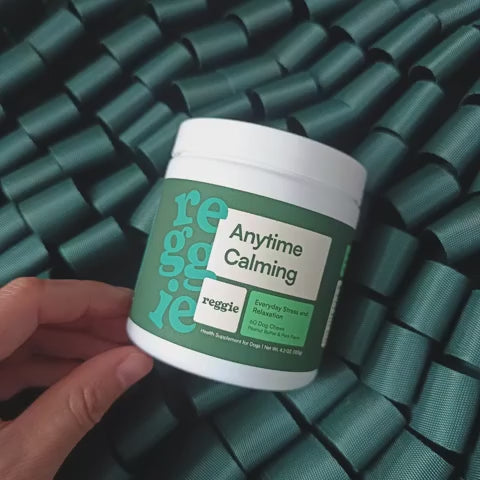 Dog Calming Supplement Chews, L-Theanine and Magnolia Bark Formula in One-, Two- or Three-Jar Packs product demonstration video