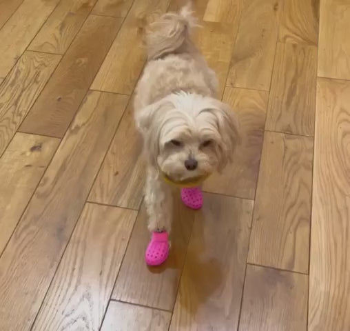 Ventilated Hot Weather Dog Boots product video