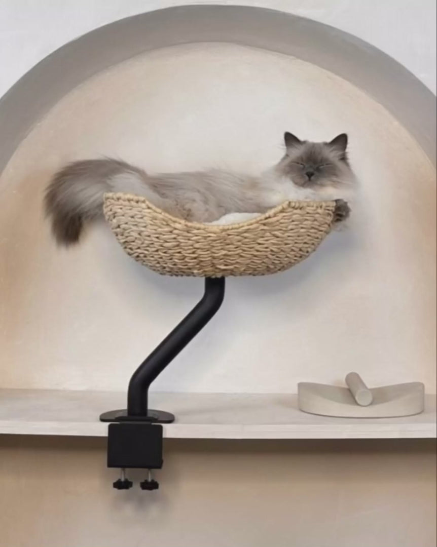 Rotating Desk-Mounted Cat Bed with Tool-Free Clamp, Handwoven or Birchwood Nest for Cats up to 45 lb source demonstration video