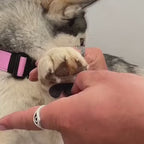 Dog Paw Pad Protectors product video
