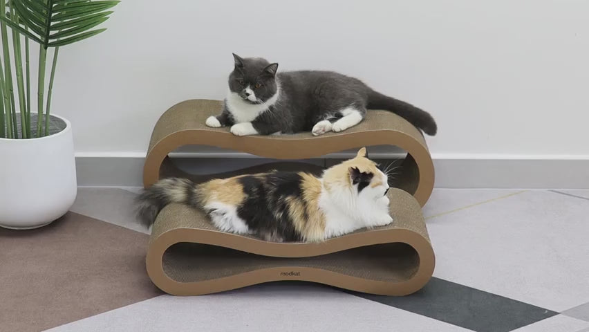 Two-Size Cat Scratcher Lounge Set product video