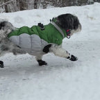 Flexible Dog Booties, Set of Four Water-Resistant Paw Protectors for Hot Pavement, Trails and Winter Walks source demonstration video