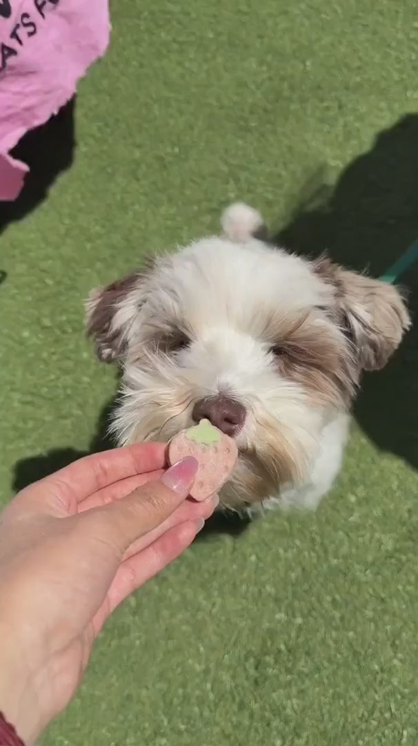 Freeze-Dried Strawberry Yogurt Pet Treats, 50 g Chicken and Goat Milk Bites for Cats and Dogs product demonstration video