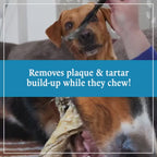 Air-Dried Cod Fish Skin Dog Chews product video