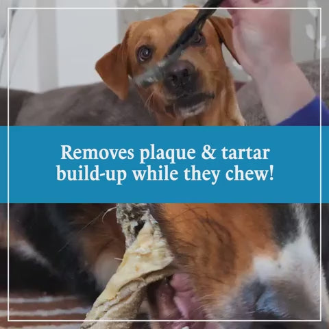 Air-Dried Cod Fish Skin Dog Chews product video