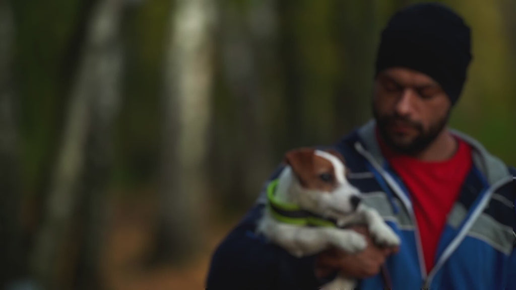 Rechargeable Remote Training Collar for Small Dogs, 1,000-Foot Range plus Tone, Vibration and Static Modes source demonstration video