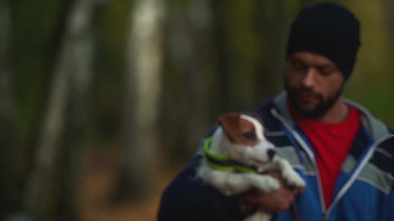 Rechargeable Remote Training Collar for Small Dogs, 1,000-Foot Range plus Tone, Vibration and Static Modes source demonstration video