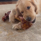 Giant Smoked Beef Bone product video